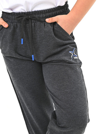 4290-B Брюки спорт д/м (антрацит весь размерный ряд)