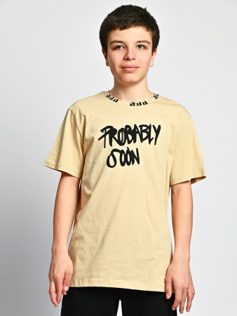 2073 Футболка д/м (бежевый весь размерный ряд)