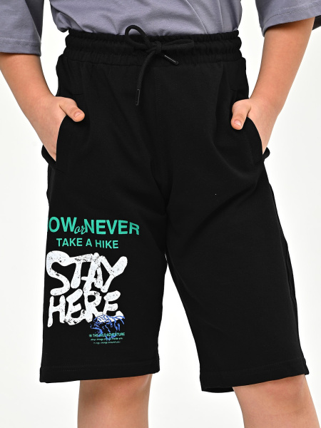 3126 Бриджи д/м (черный весь размерный ряд)