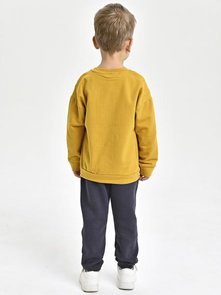 224425 Толстовка утепл. д/м (горчица весь размерный ряд)