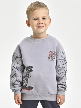 225469 Толстовка утепл. д/м (серый весь размерный ряд)