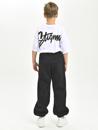 4900 Брюки спорт. д/м утепл. (черный весь размерный ряд)