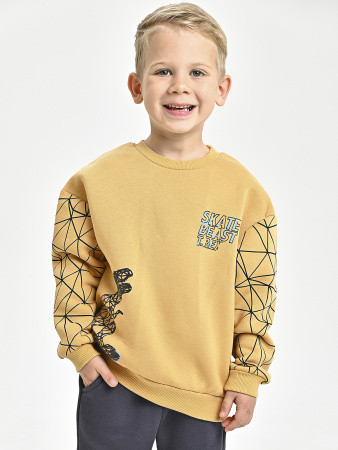 225469 Толстовка утепл. д/м (горчичный весь размерный ряд)