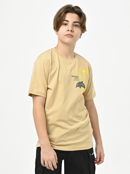 2289 Футболка д/м (бежевый весь размерный ряд)