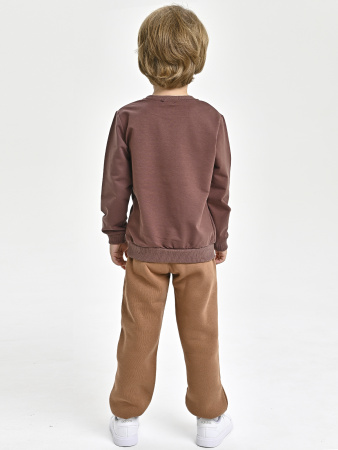 223643 Толстовка д/м (коричневый весь размерный ряд)