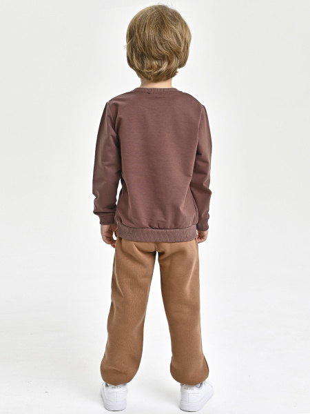 223643 Толстовка д/м (коричневый весь размерный ряд)