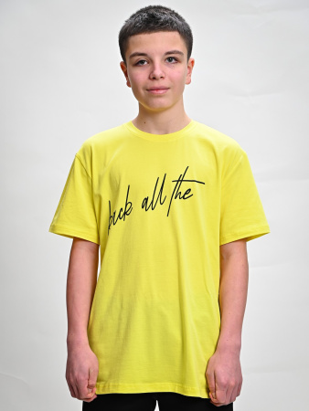 2294 Футболка д/м (желтый весь размерный ряд)