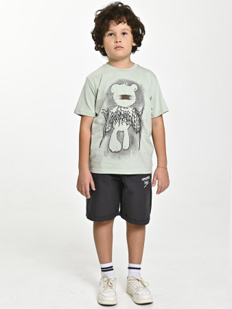 4539 Футболка д/м (фисташковый весь размерный ряд)