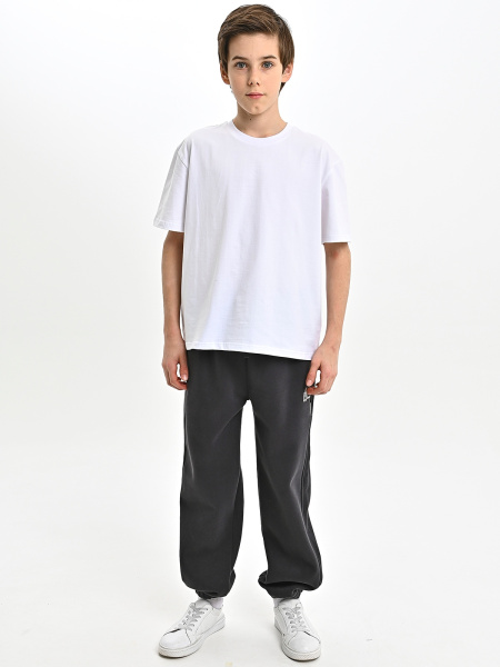 B020-8-Ch Брюки спорт утепл. д/м (темно-серый весь размерный ряд)