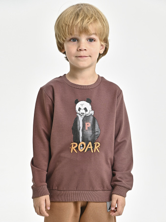 223643 Толстовка д/м (коричневый весь размерный ряд)