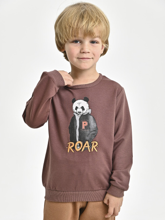 223643 Толстовка д/м (коричневый весь размерный ряд)