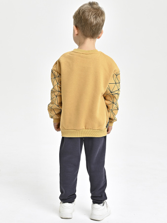 225469 Толстовка утепл. д/м (горчичный весь размерный ряд)