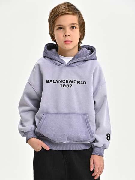 5060T-Ch Толстовка утепленная д/м (фиолетовый весь размерный ряд)