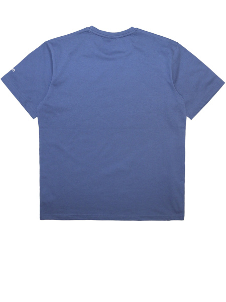 3009 Футболка д/м (джинсовый весь размерный ряд)