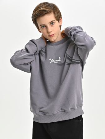 5048 Толстовка д/м (светло-серый весь размерный ряд)